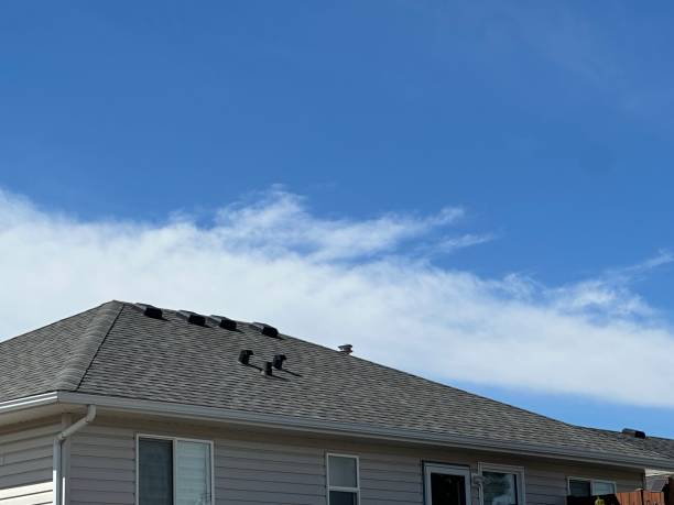 Best Roof Maintenance and Cleaning  in Forestville, OH